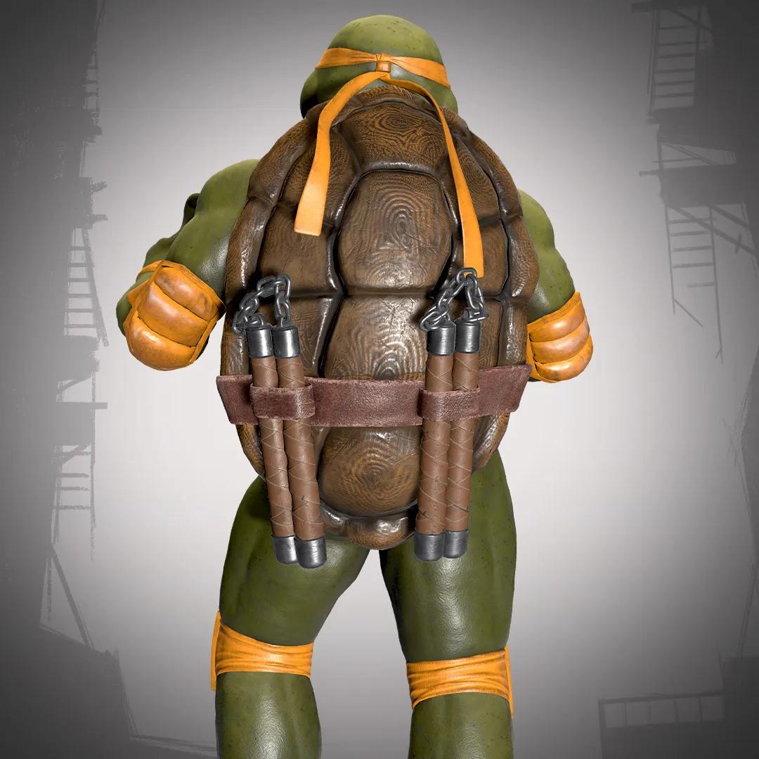 Michelangelo - Classic image 5