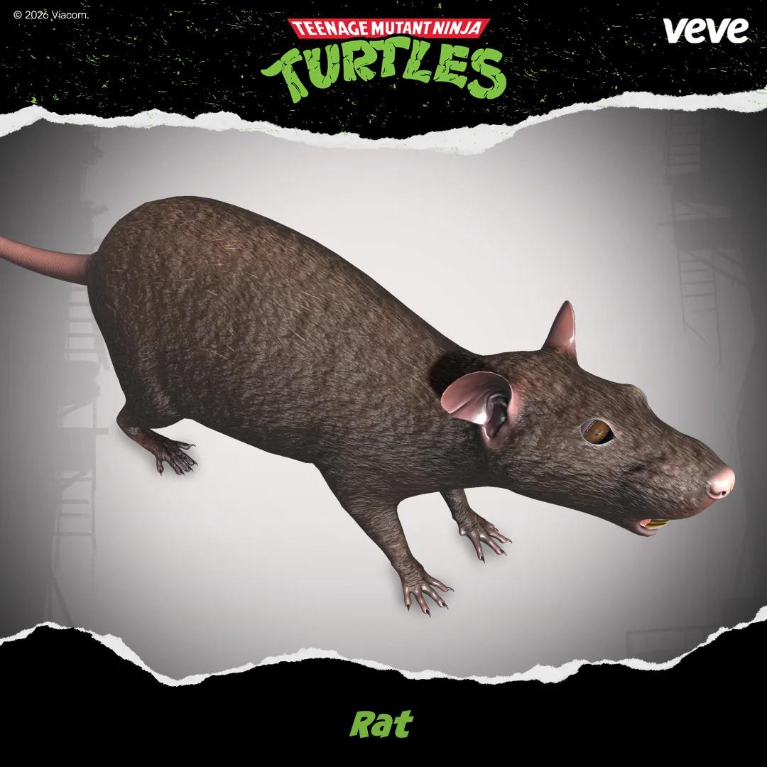 Objet de collection Rat
