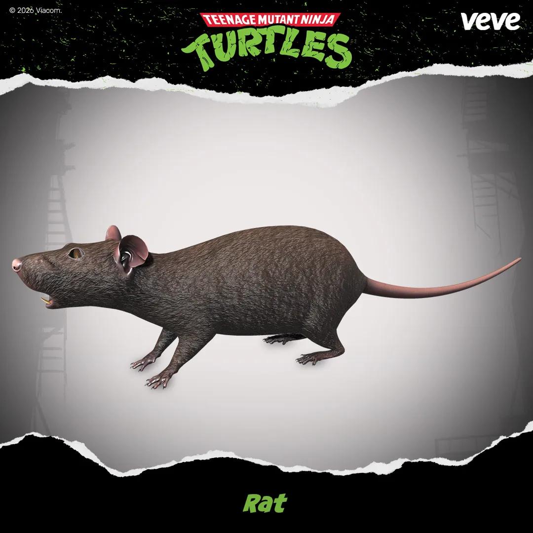Objet de collection Rat