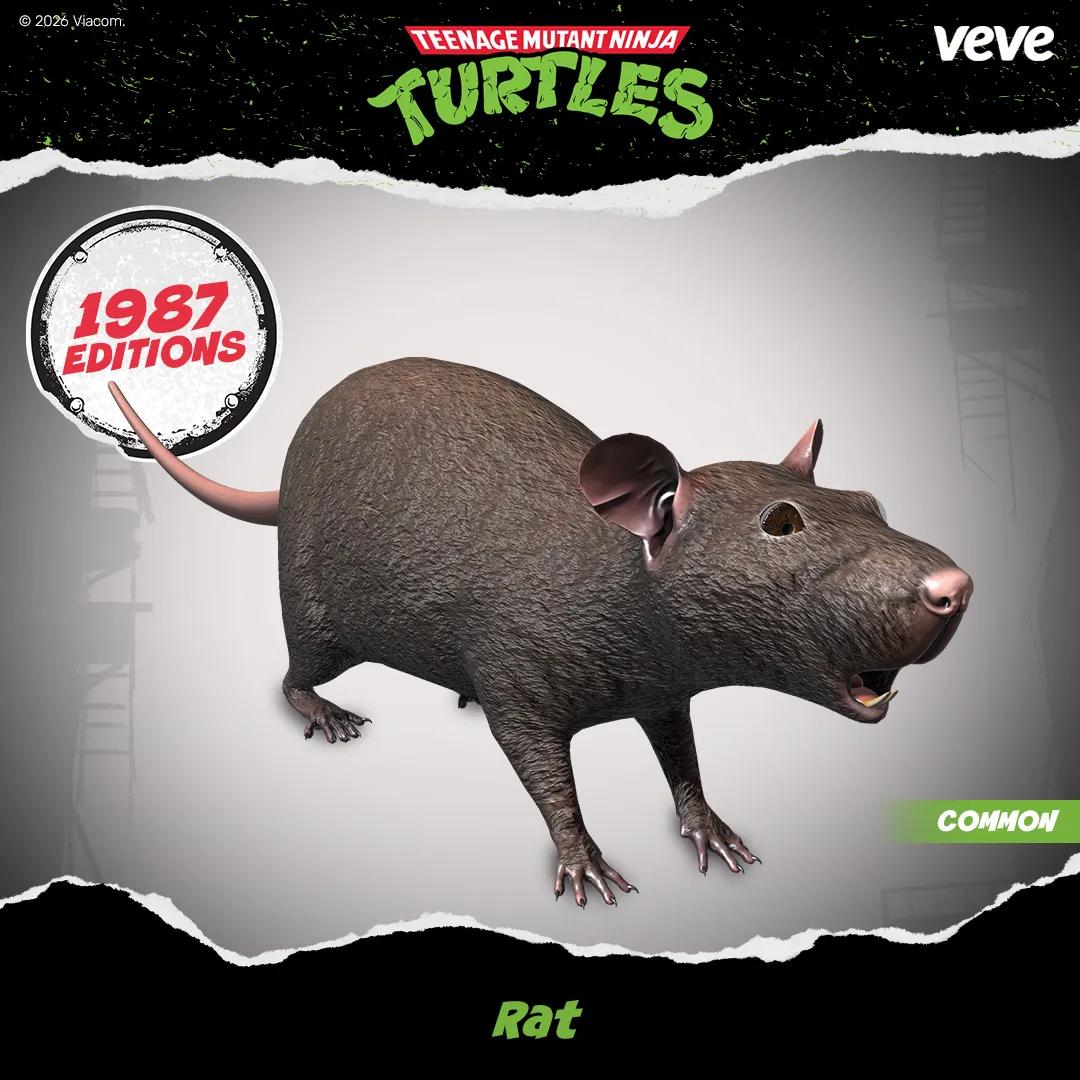 Objet de collection Rat