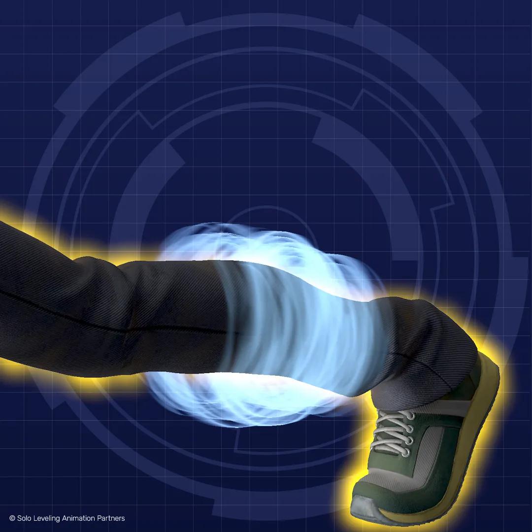 Sung Jinwoo - The Awakened