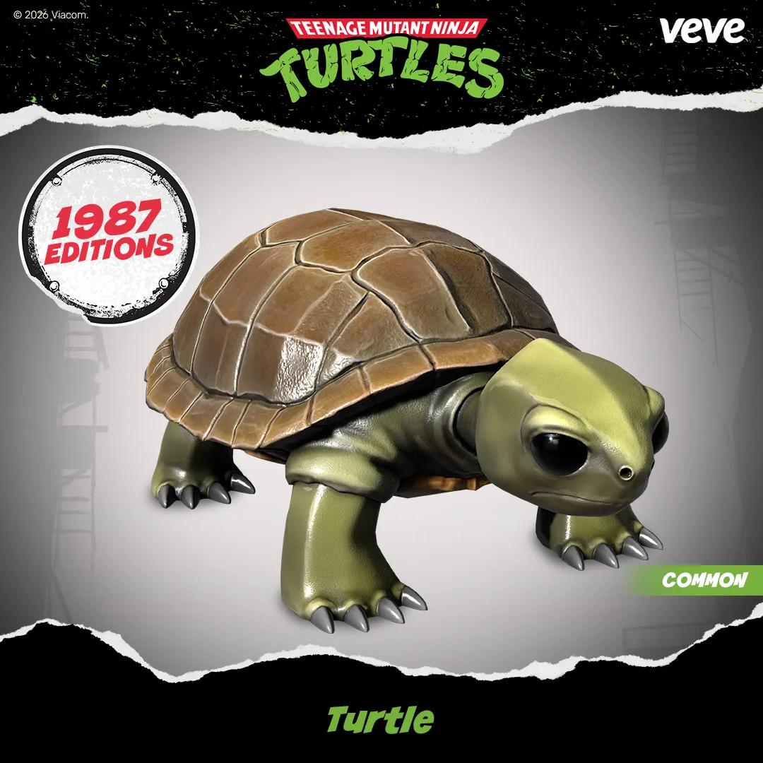 Turtle Collectible