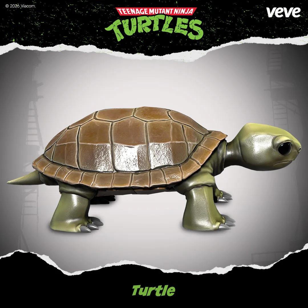 Turtle Collectible