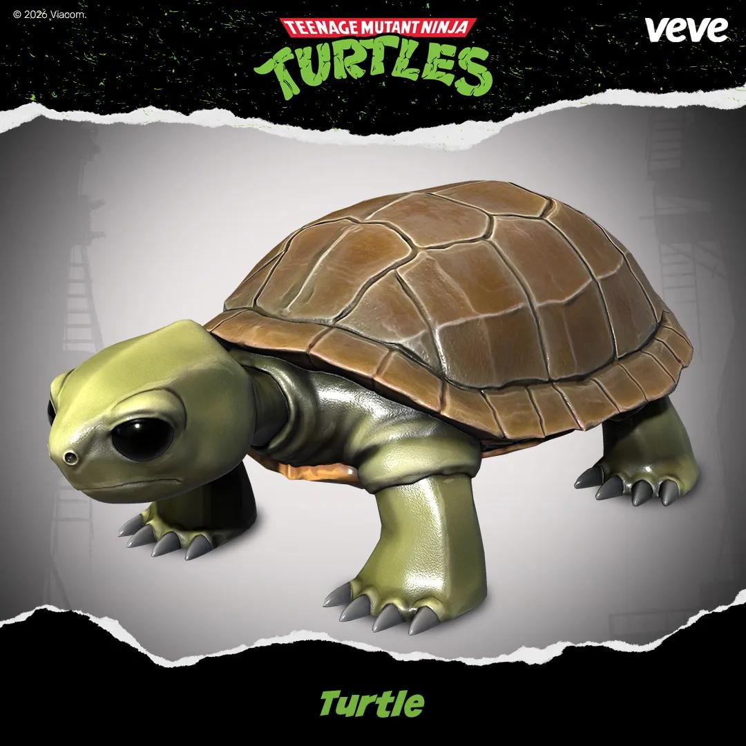Turtle Collectible