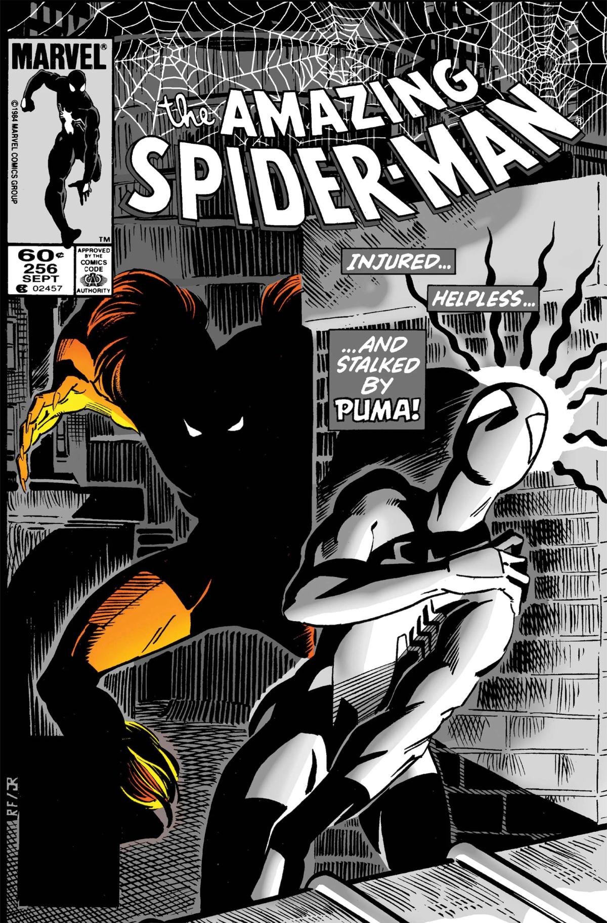 The Amazing Spider-Man image 2