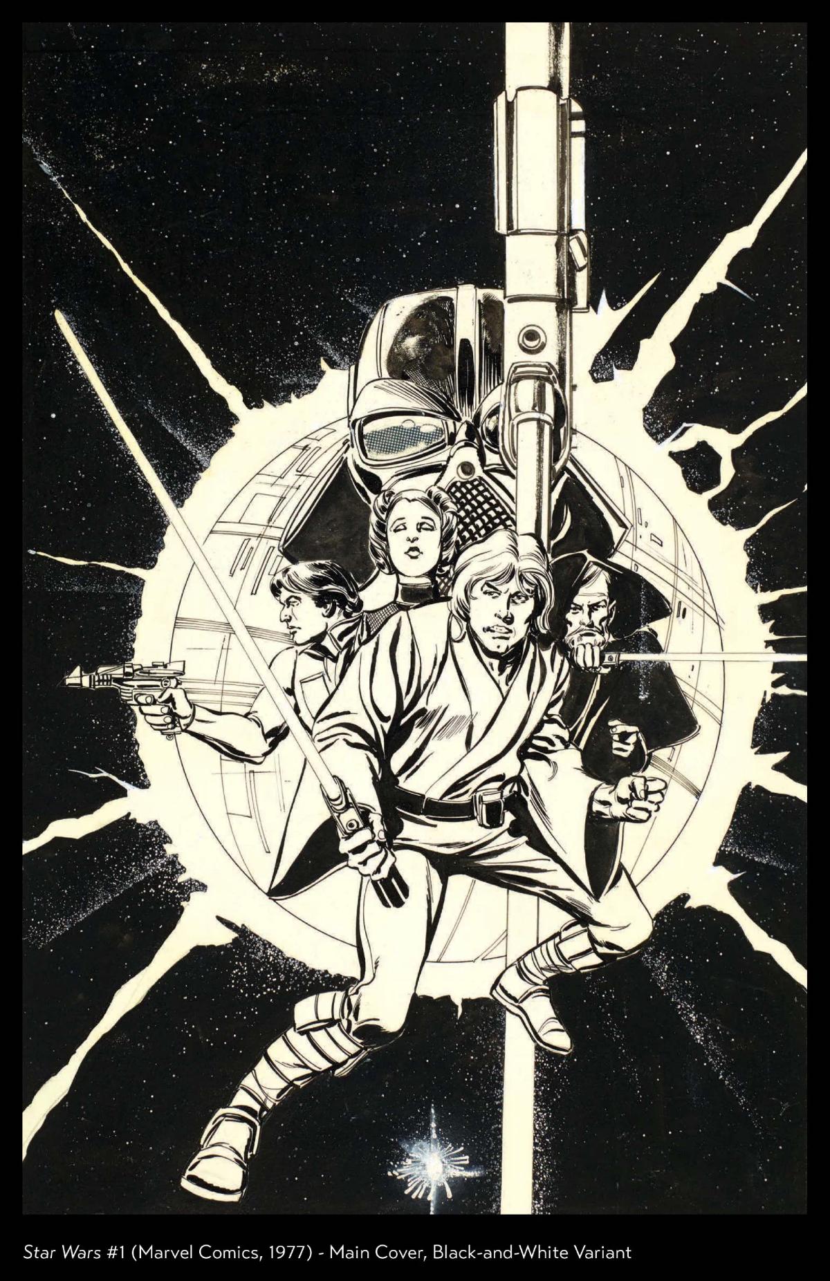 Star Wars (1977) image 3