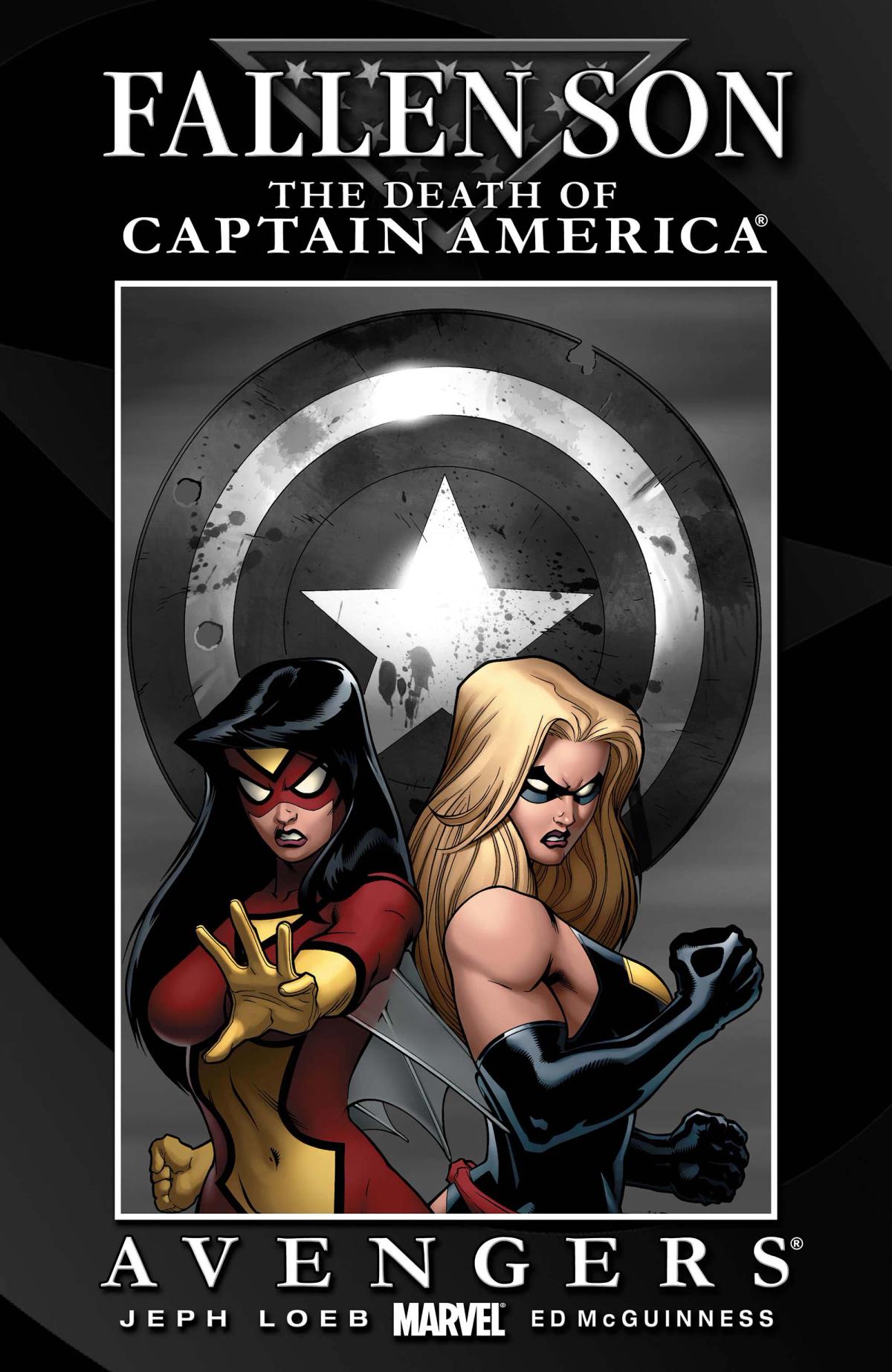 Fallen Son: The Death of Captain America image 2