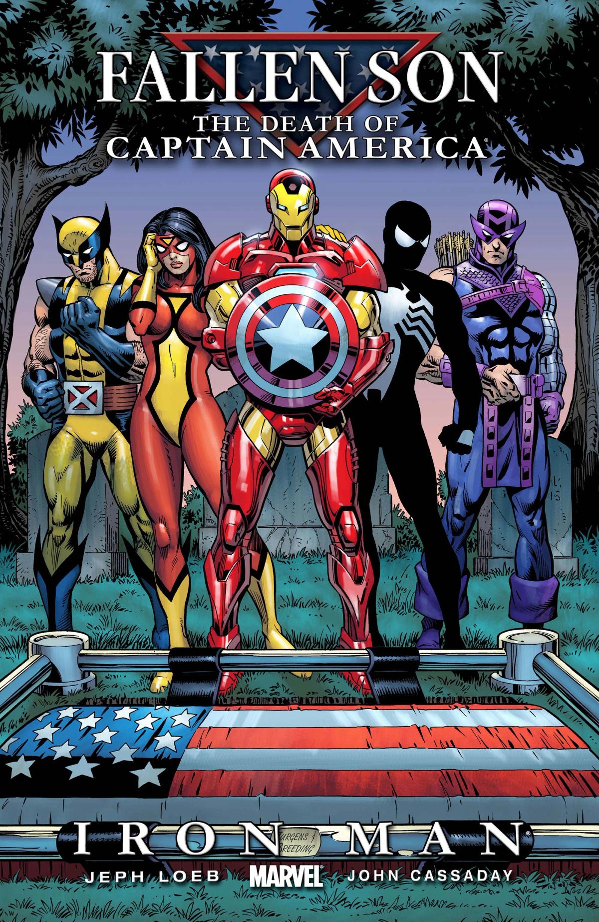 Fallen Son: The Death of Captain America image 4
