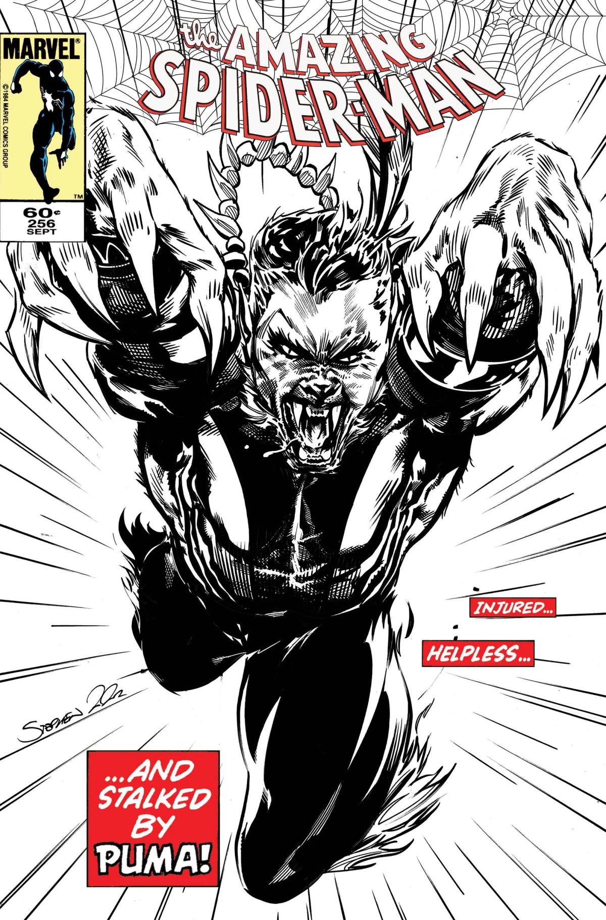 The Amazing Spider-Man image 3