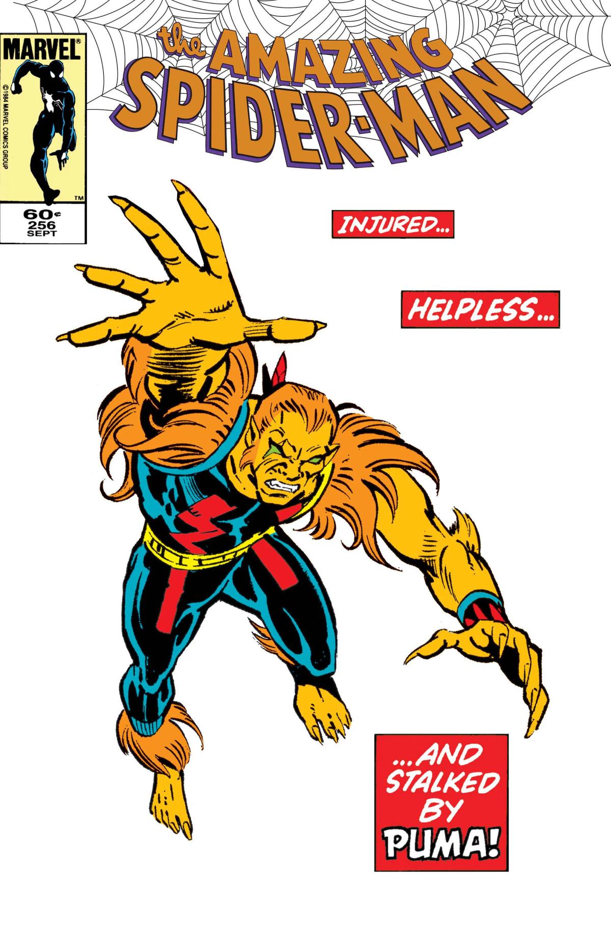 The Amazing Spider-Man image 5