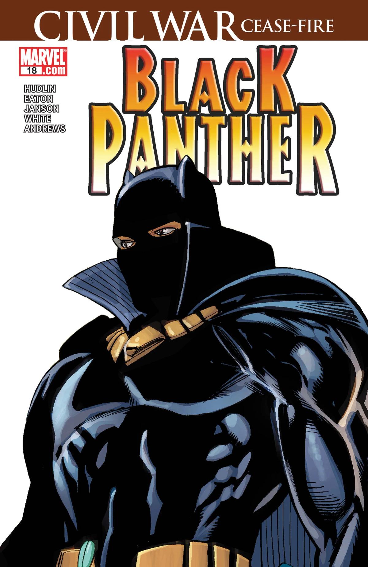 Black Panther image 5