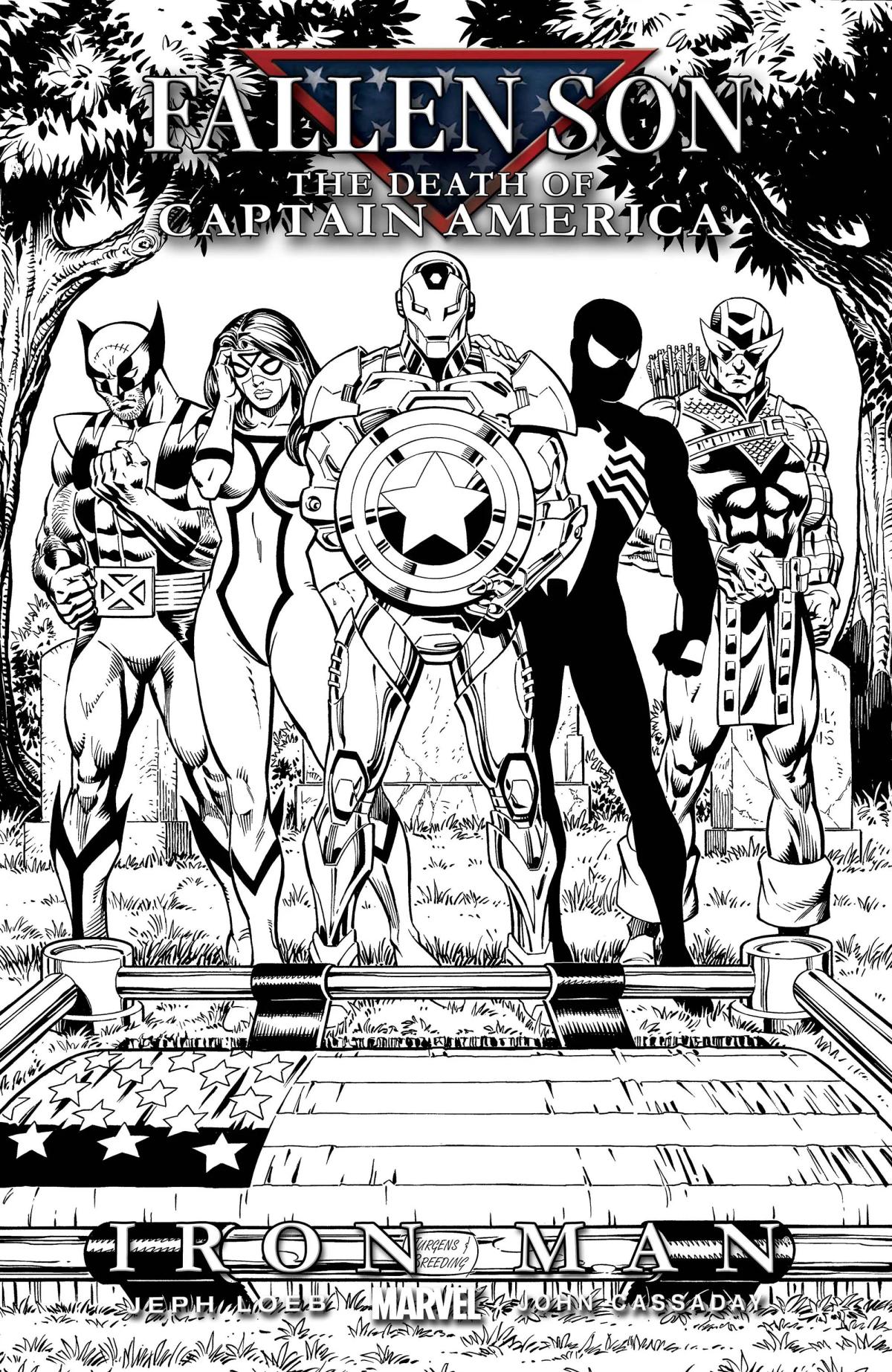 Fallen Son: The Death of Captain America image 3