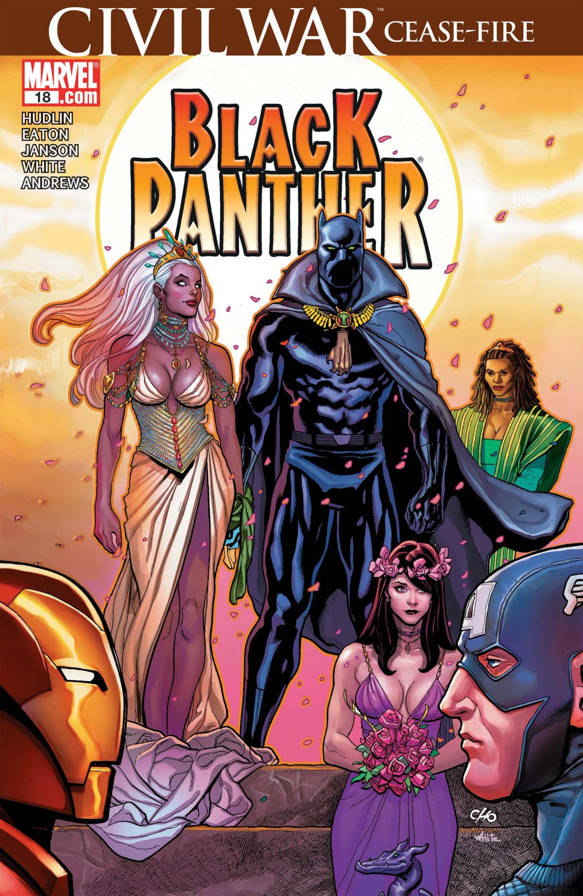 Black Panther image 1