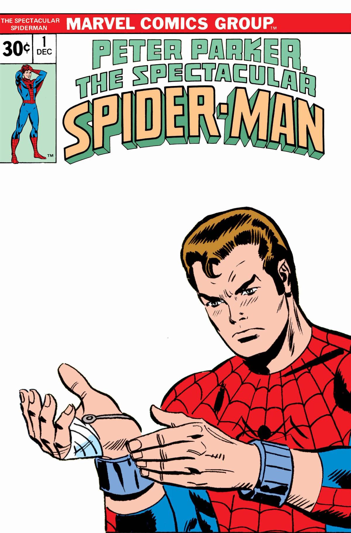 Peter Parker, The Spectacular Spider-Man