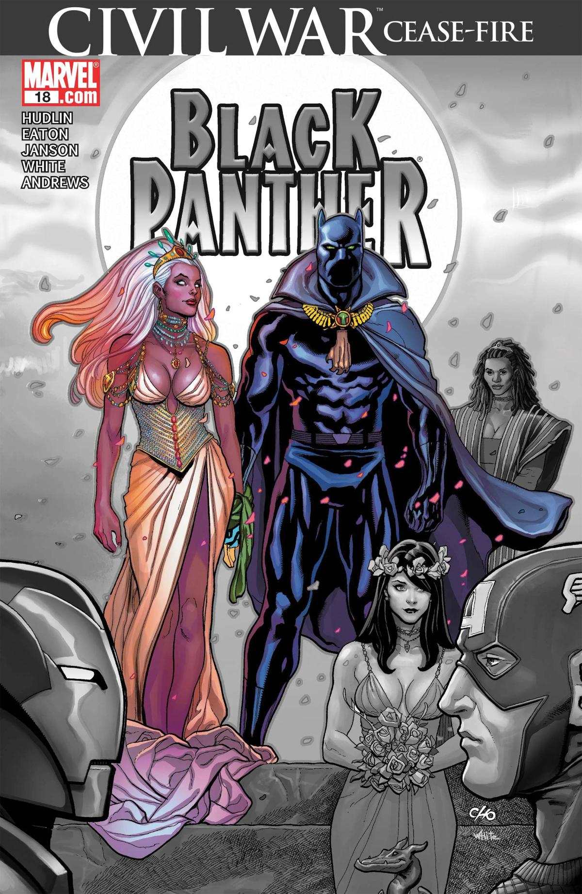 Black Panther image 2