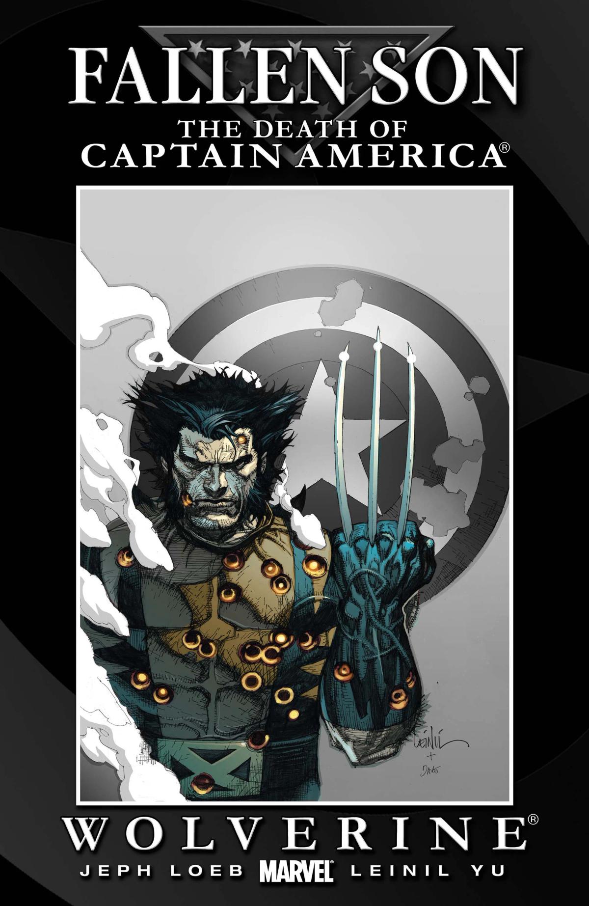 Fallen Son: The Death of Captain America image 2