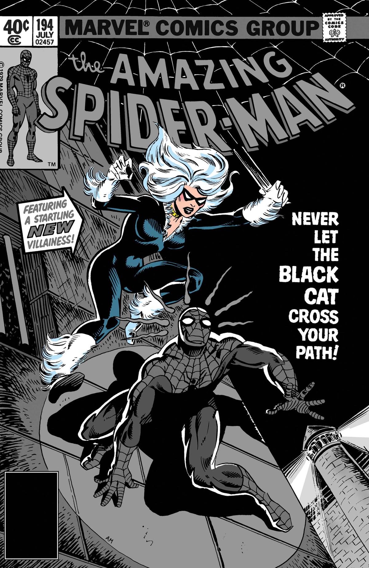 The Amazing Spider-Man image 2