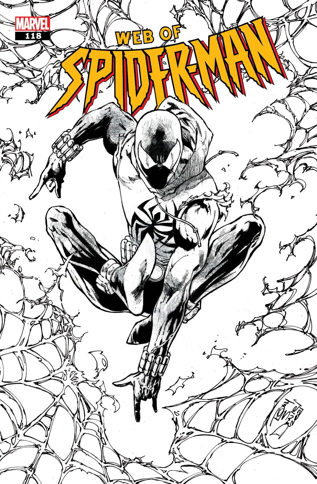 Web of Spider-Man image 3