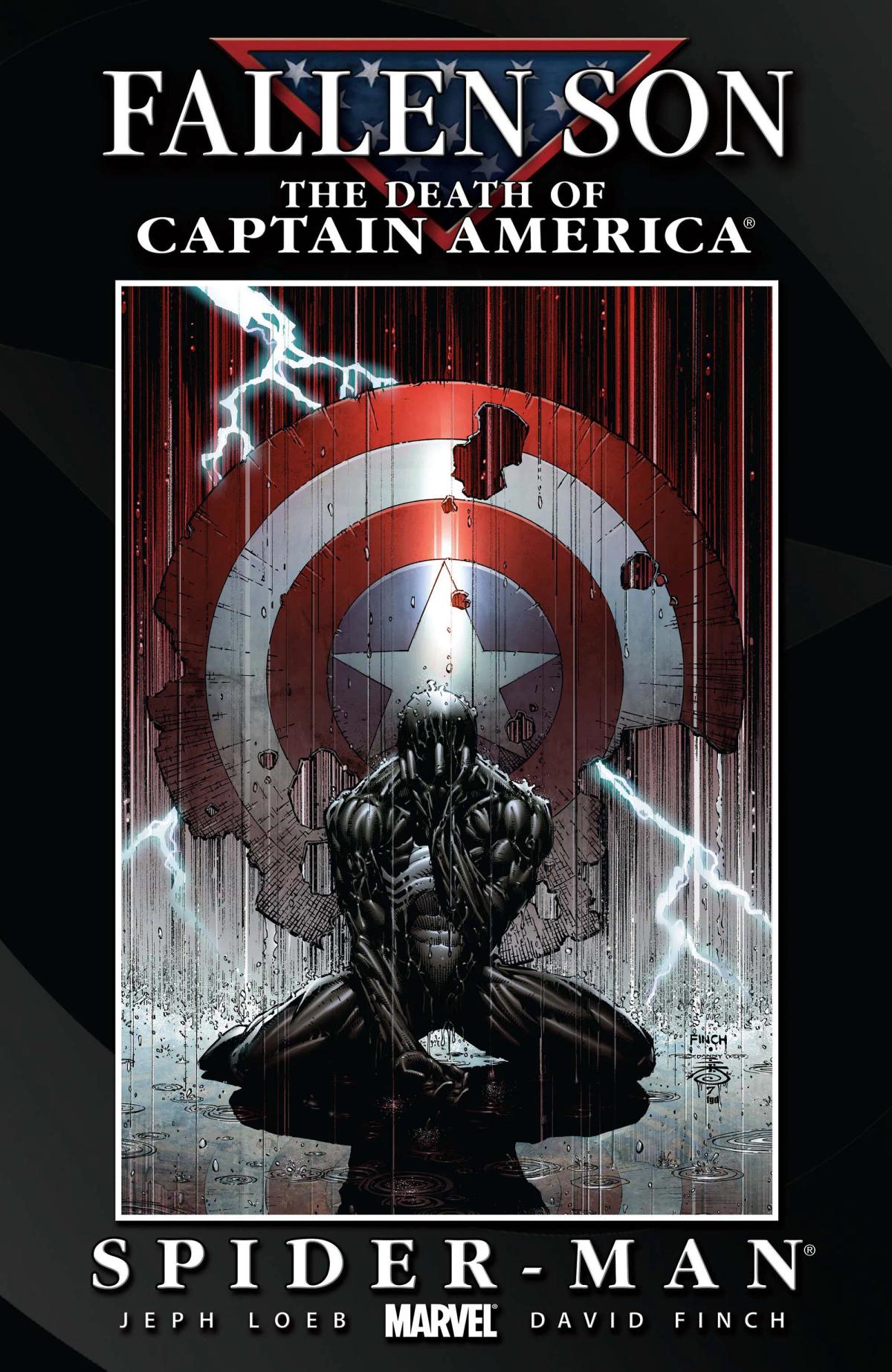 Fallen Son: The Death of Captain America image 1