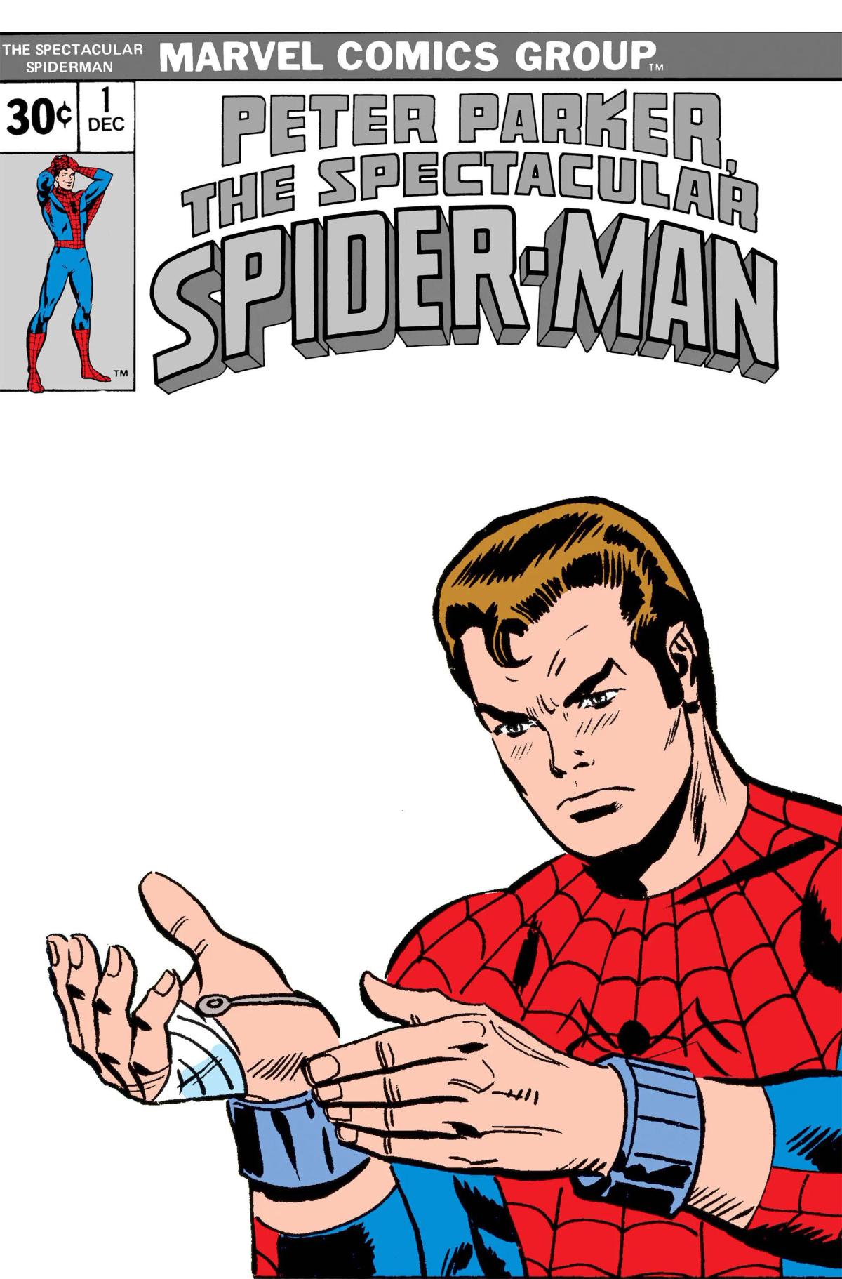 Peter Parker, The Spectacular Spider-Man
