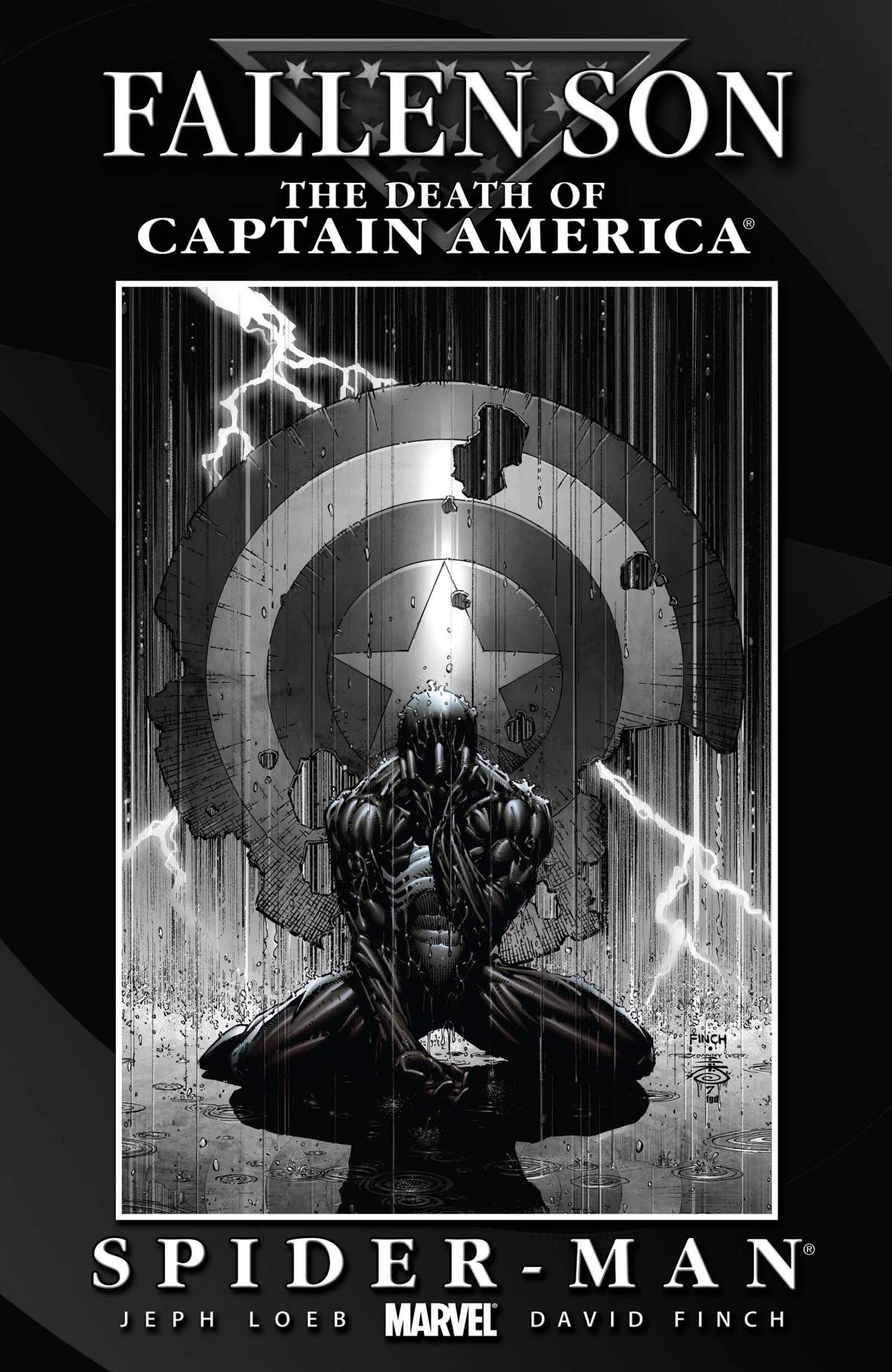 Fallen Son: The Death of Captain America image 2