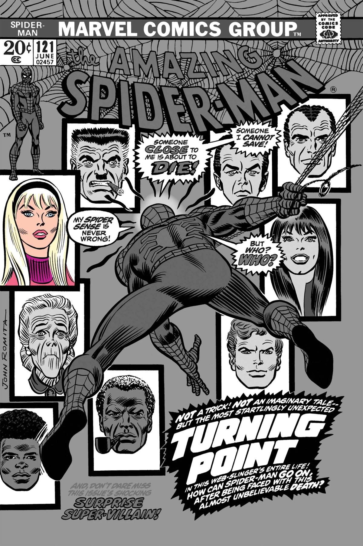 The Amazing Spider-Man image 2