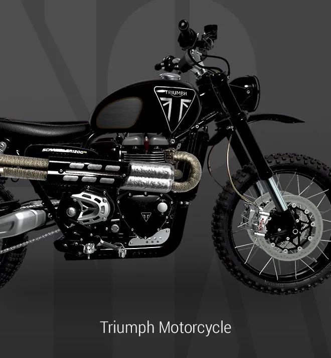 Triumph Motorcycle image 1