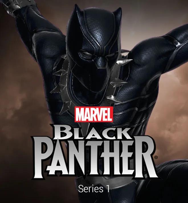 Black Panther image 1