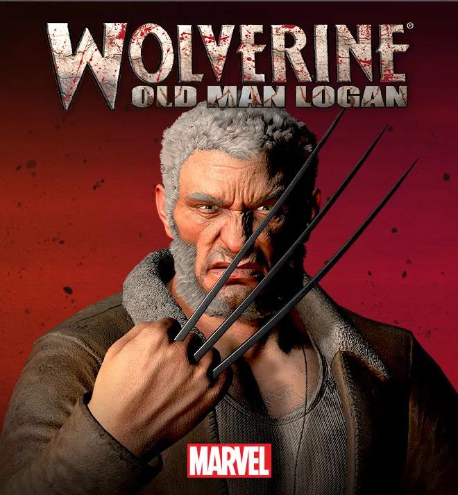 Wolverine Old Man Logan image 1