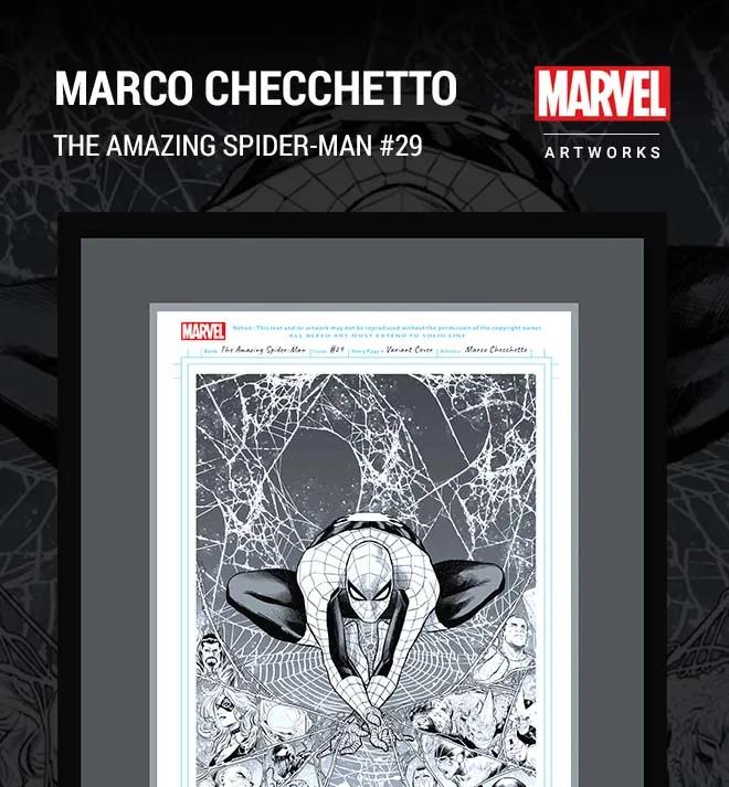 Marco Checchetto – The Amazing Spider-Man (2022) #29 (Variant) image 1