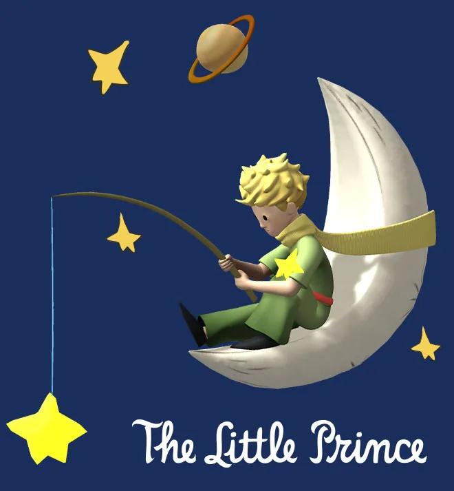 The Little Prince On The Moon image 1