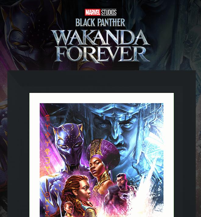 Black Panther: Wakanda Forever image 1