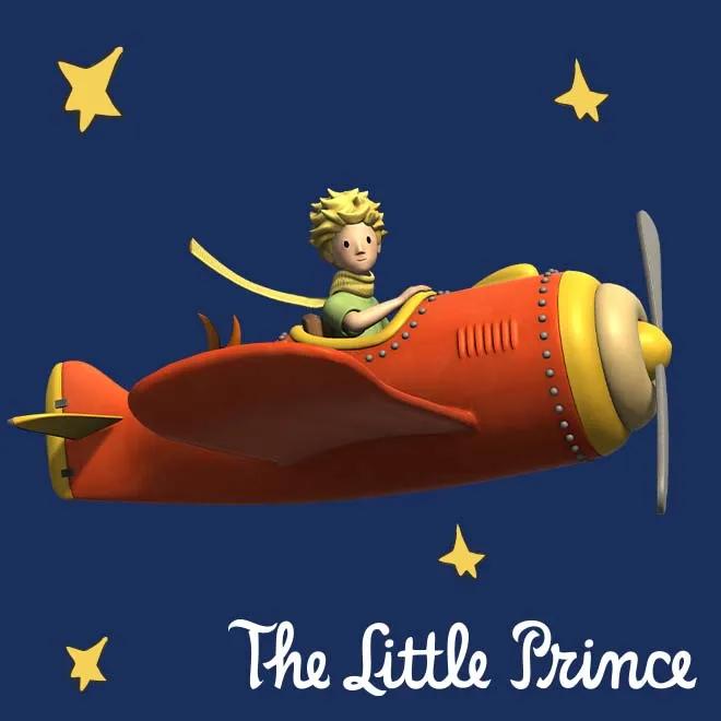 Flying The Little Prince image 1