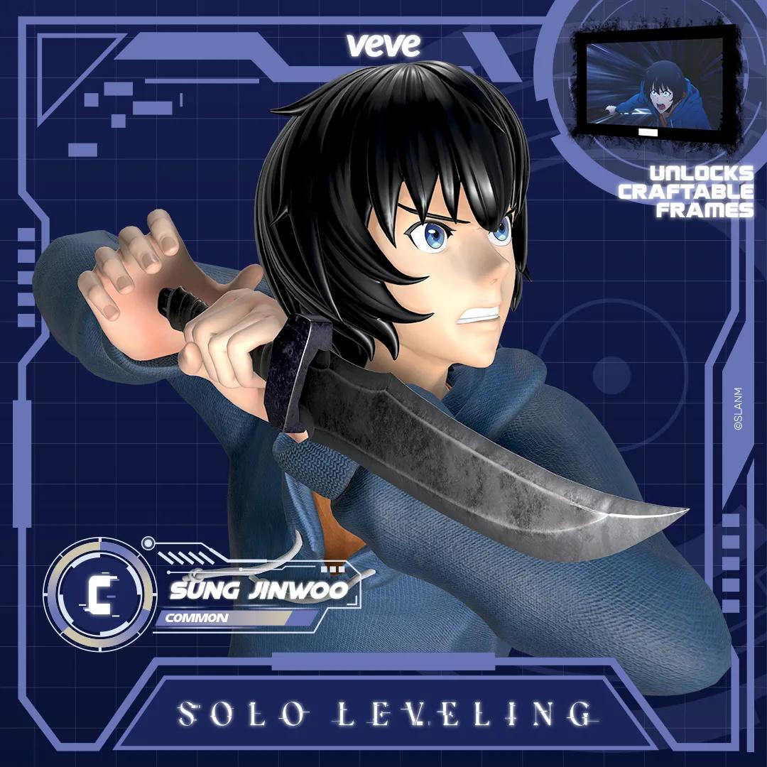 Solo Leveling - Sung Jinwoo
