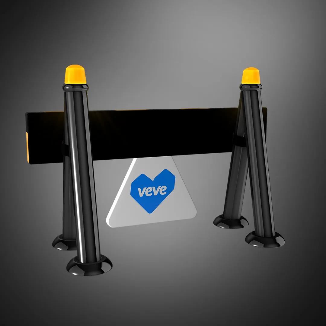 VeVe Early Days image 4