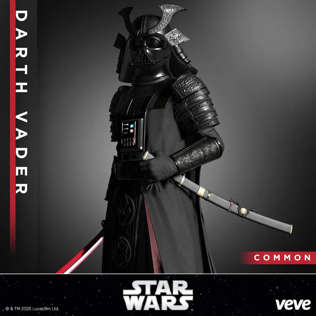 Darth Vader - Samurai Series - Craft image 1