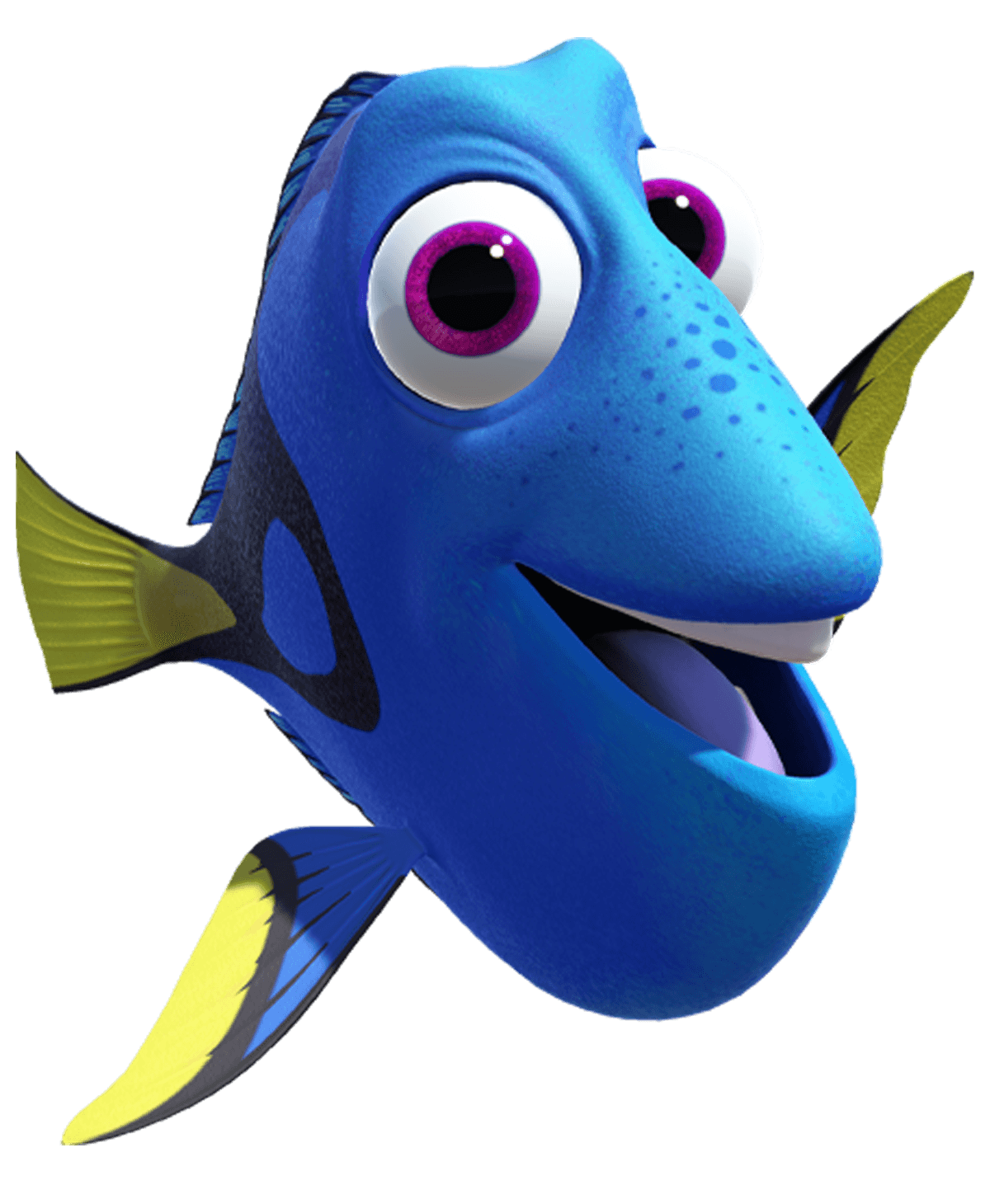 Dory
