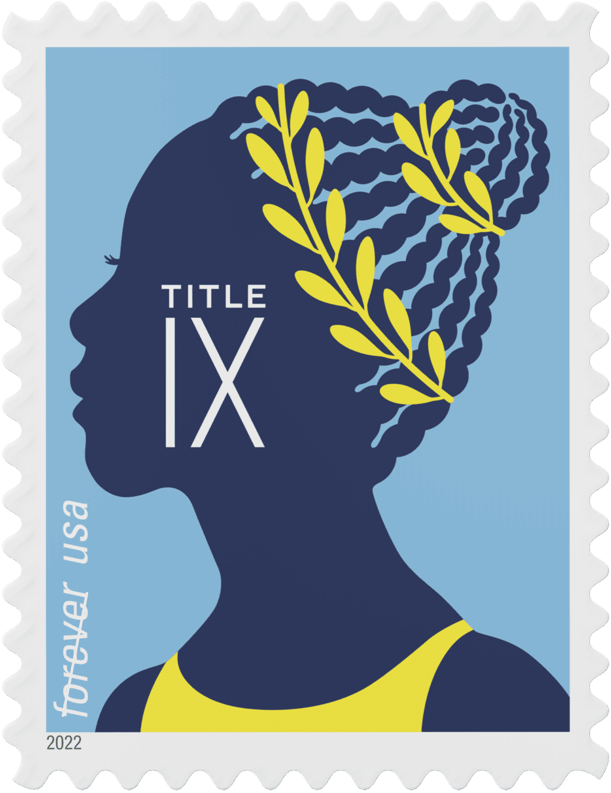 Title IX - Gymnast image 1