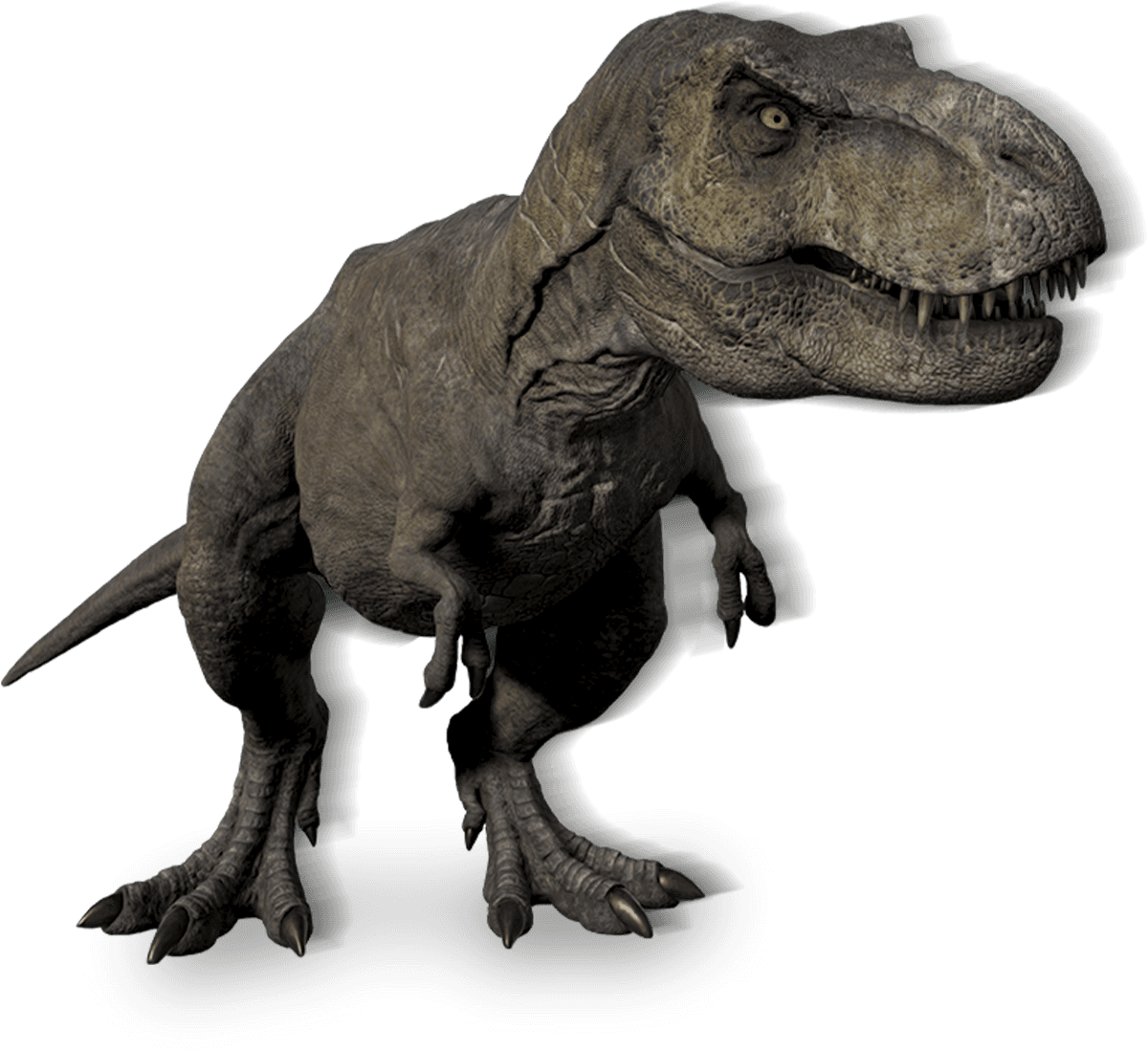 T. rex Animated 1 image 1
