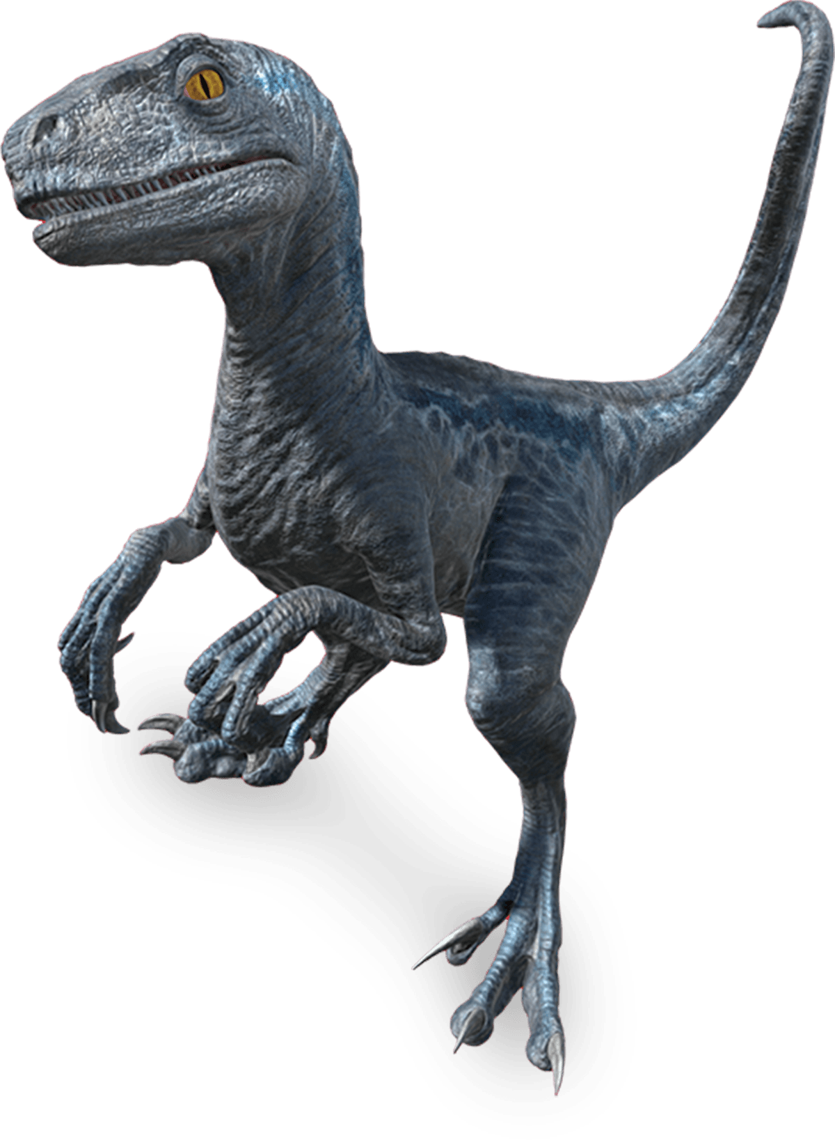 Beta the New Kid in Town