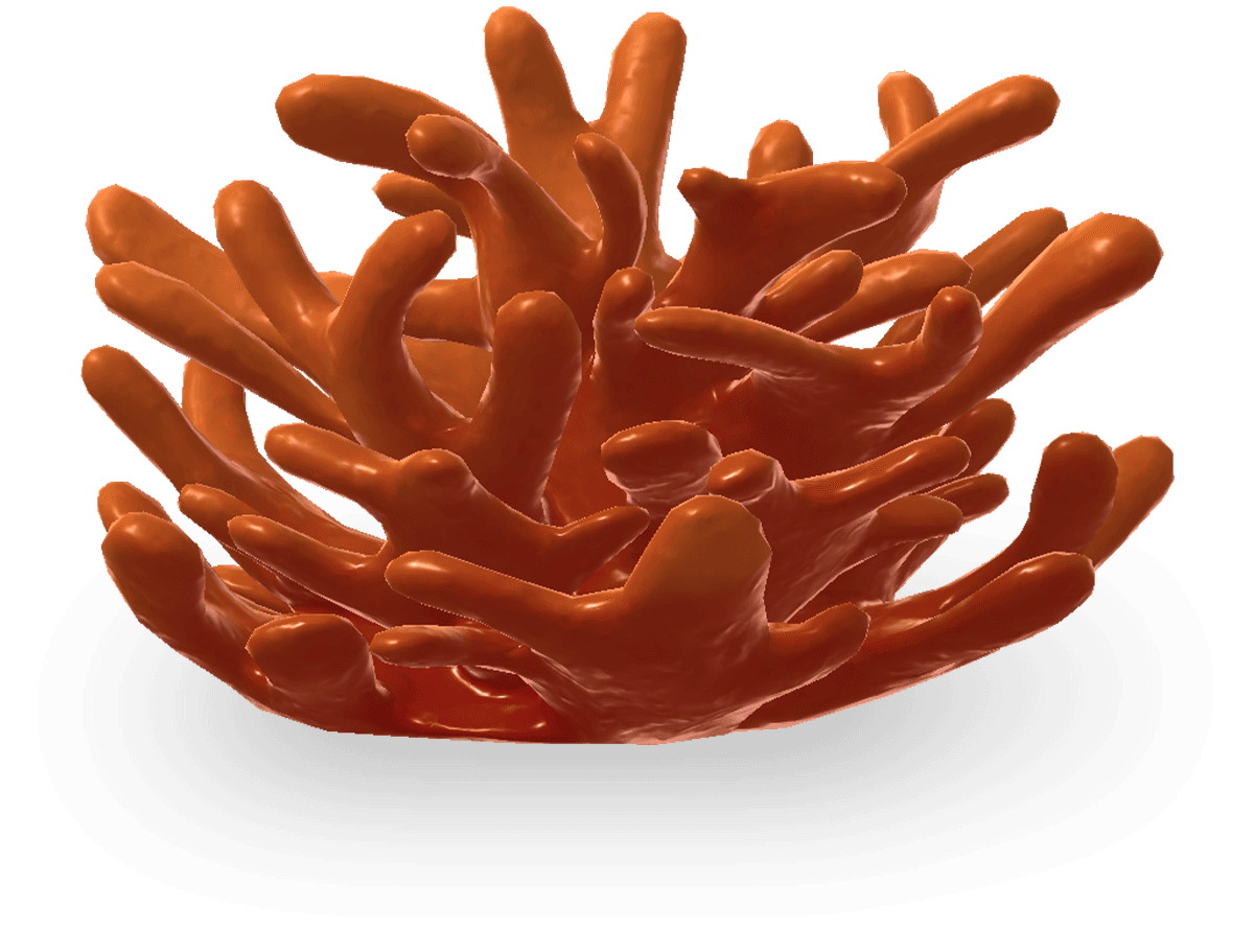 Aquatic Plant - Vibrant Red image 1