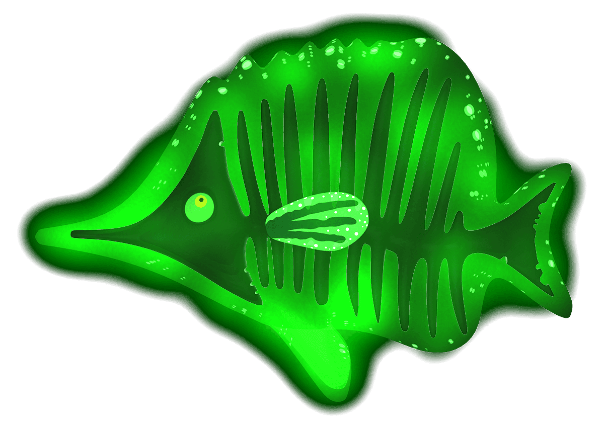 The Blackboned ButterflyFeesh