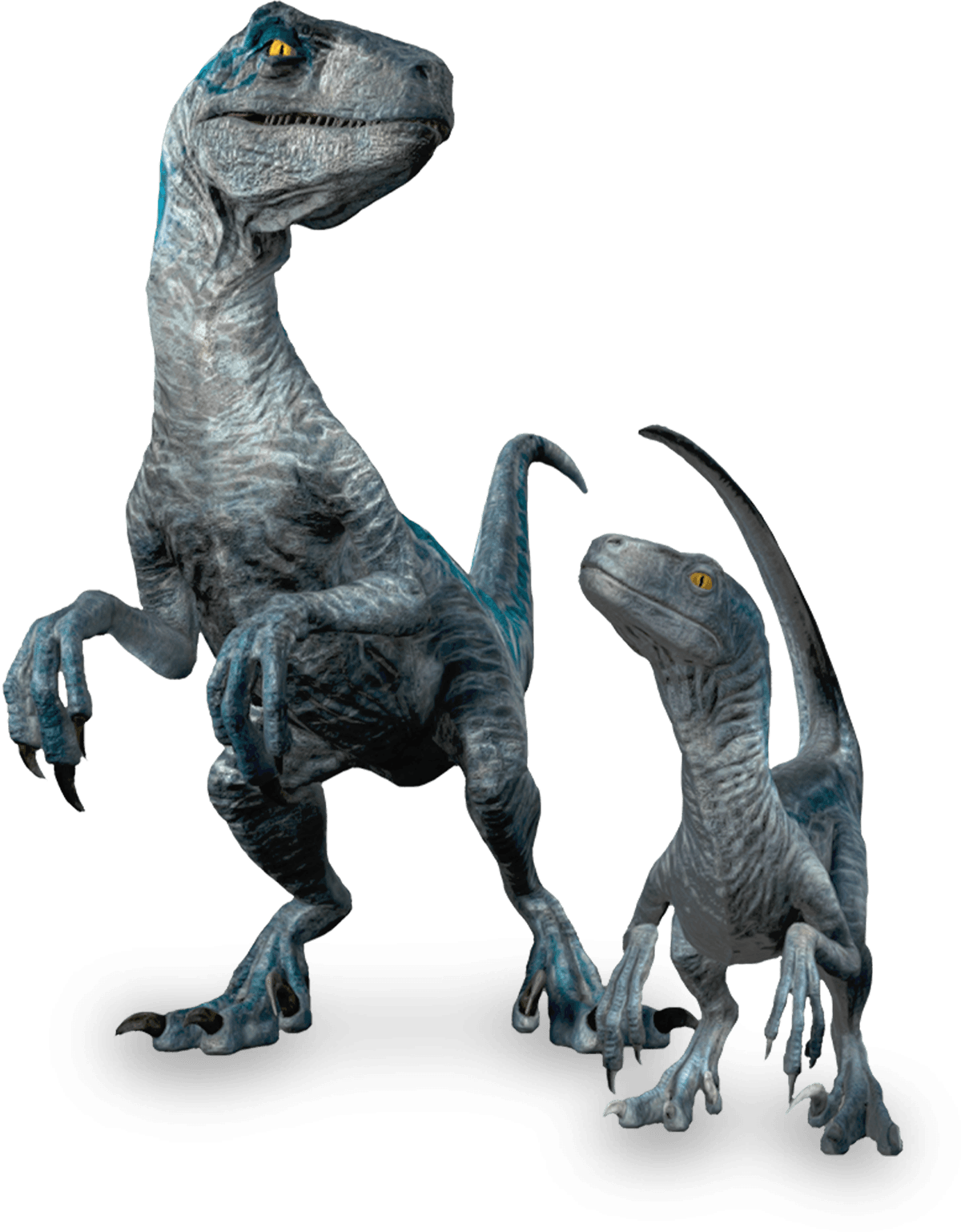 Blue and Beta Animated 1