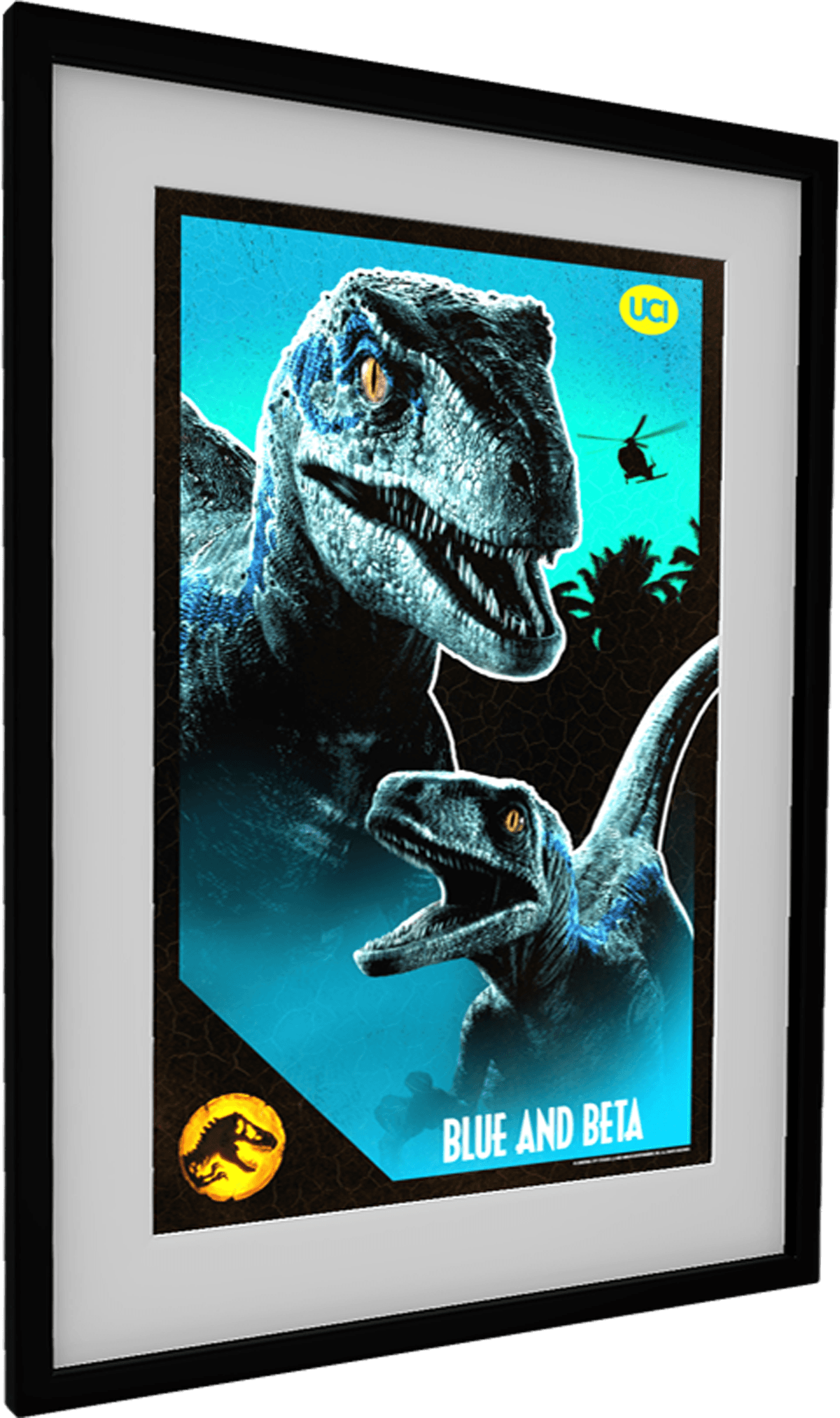 UCI Germany Blue and Beta