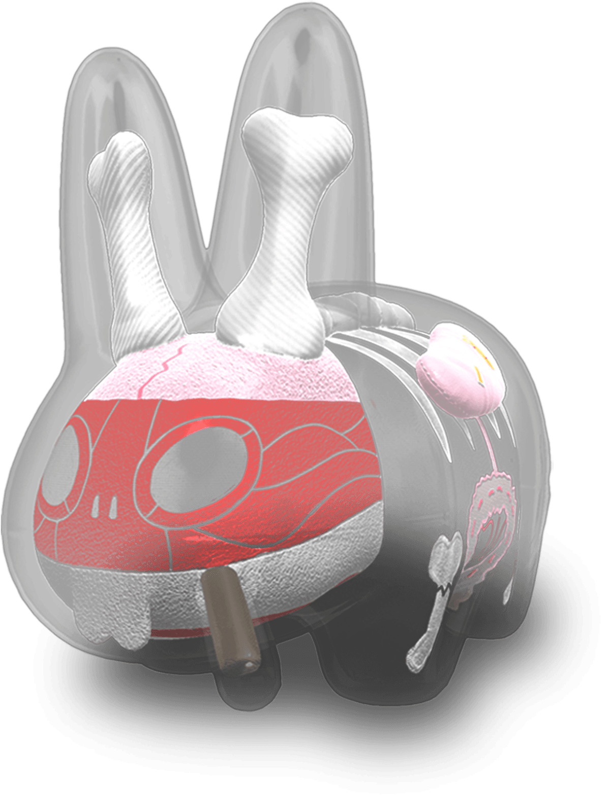 The Visible Labbit image 1