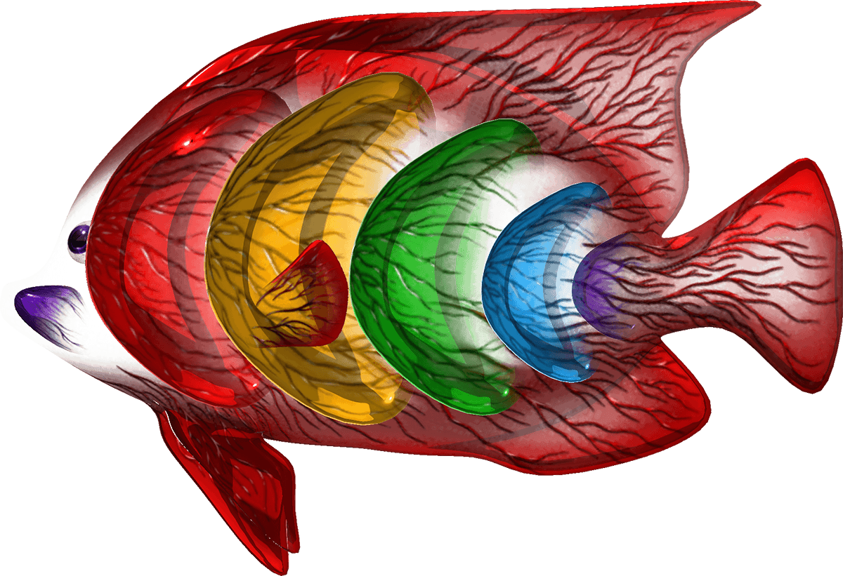 The Angelfeesh #388 by Brian Morris image 1
