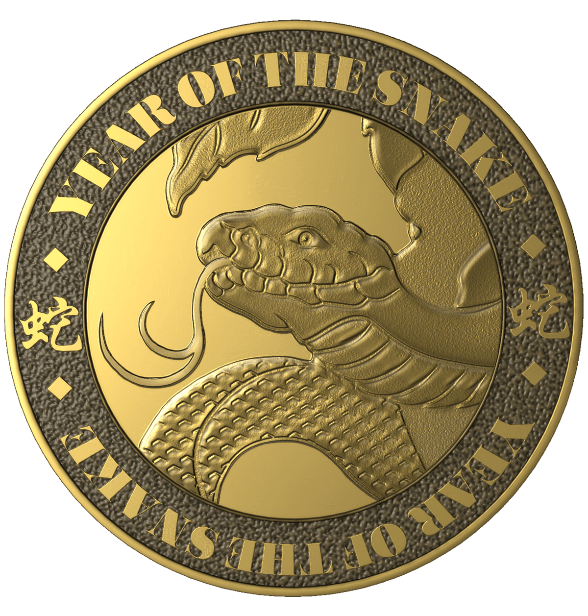 Year of the Snake Medallion image 1