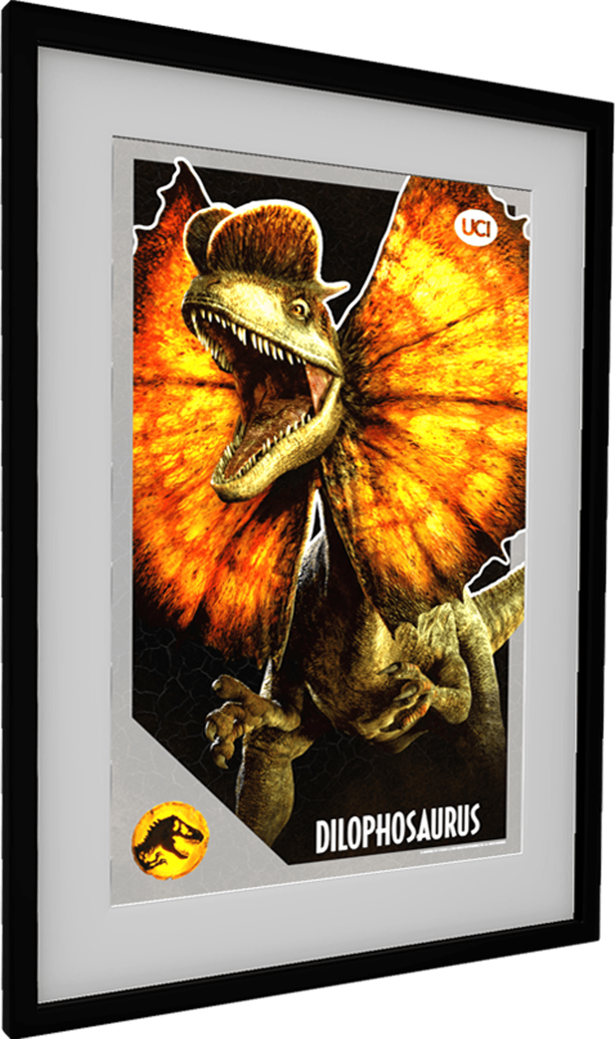 UCI Germany Dilophosaurus