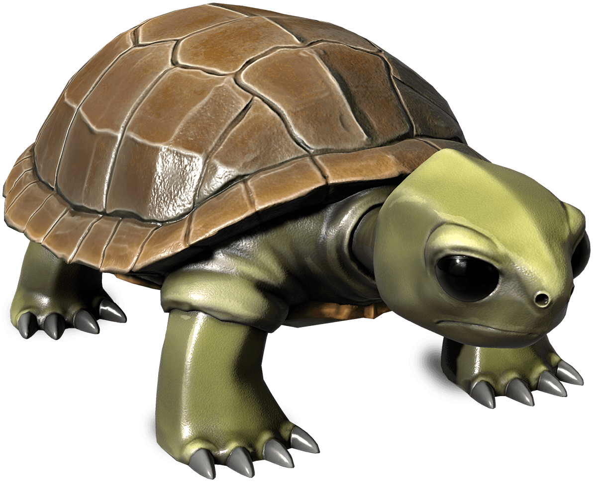 Turtle Collectible