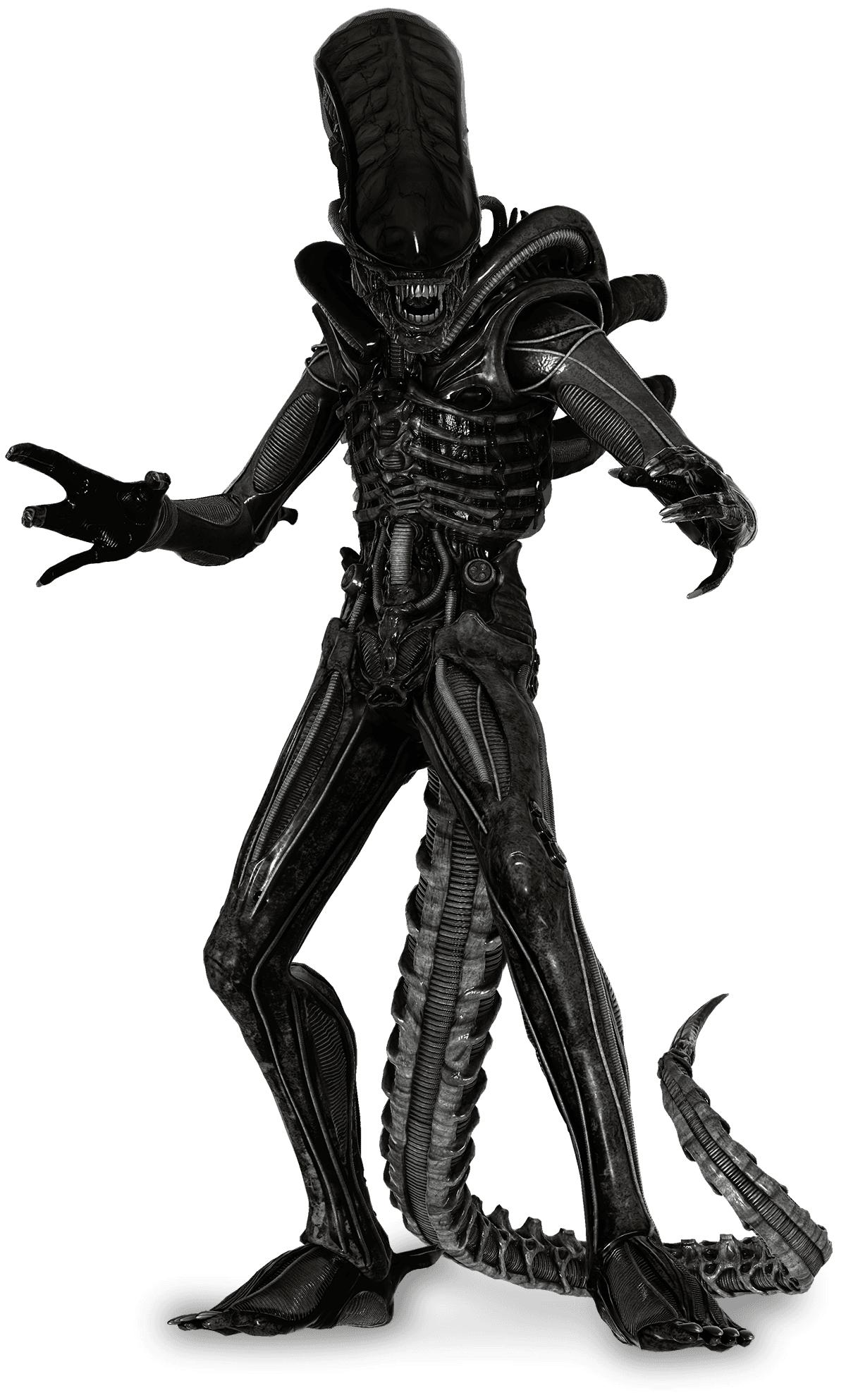 Xenomorph